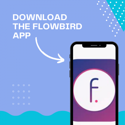 Downloading Flowbird